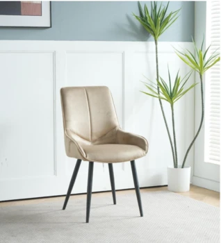 כיסא דגם "אילן"